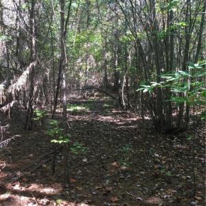 Photo #4 of 00 & 000 Terrell, Mebane, NC 13.8 acres