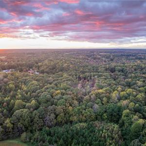 Photo #6 of Olivia Pope, Efland, NC 5.1 acres
