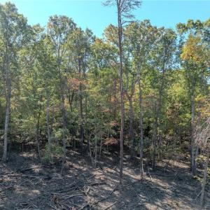 Photo #13 of Olivia Pope, Efland, NC 5.1 acres