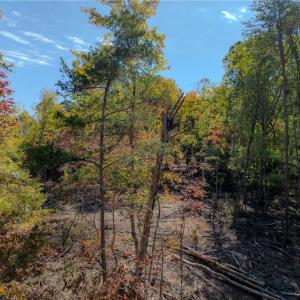 Photo #12 of Olivia Pope, Efland, NC 5.1 acres