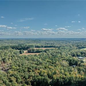 Photo #7 of Olivia Pope, Efland, NC 5.1 acres