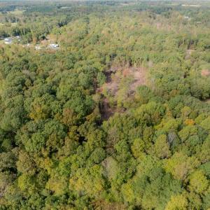 Photo #3 of Olivia Pope, Efland, NC 5.1 acres