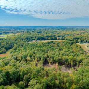 Photo #1 of Olivia Pope, Efland, NC 5.1 acres