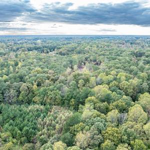 Photo #9 of Olivia Pope, Efland, NC 5.1 acres