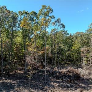 Photo #14 of Olivia Pope, Efland, NC 5.1 acres