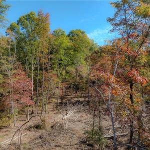 Photo #11 of Olivia Pope, Efland, NC 5.1 acres
