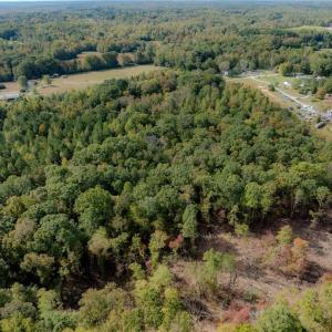 Photo #4 of Olivia Pope, Efland, NC 5.1 acres