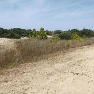 Photo #7 of SOLD property in 1714 Midland Road, Corolla, NC