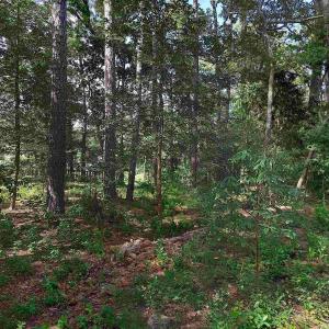 Photo #3 of SOLD property in 135 Parker Street, Jarvisburg, NC 0.2 acres