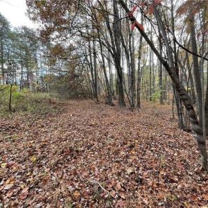 Photo #6 of +/- 17.06 Johnson, King, NC 17.1 acres