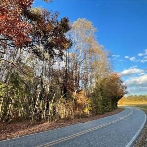 Photo #12 of +/- 17.06 Johnson, King, NC 17.1 acres