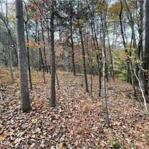 Photo #3 of +/- 17.06 Johnson, King, NC 17.1 acres
