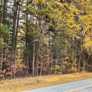 Photo #1 of +/- 17.06 Johnson, King, NC 17.1 acres