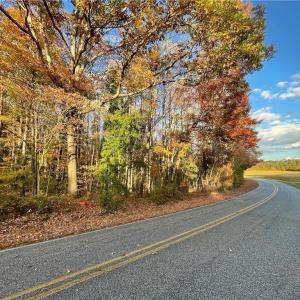 Photo #11 of +/- 17.06 Johnson, King, NC 17.1 acres