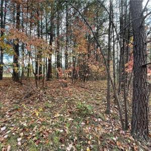 Photo #4 of +/- 17.06 Johnson, King, NC 17.1 acres