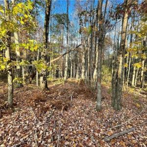 Photo #8 of +/- 17.06 Johnson, King, NC 17.1 acres
