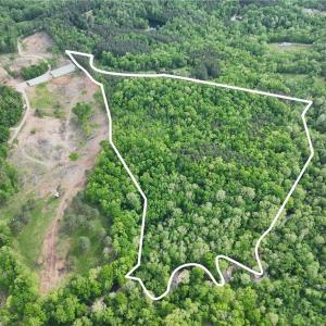 Photo #2 of Windchester, Blanch, NC 33.7 acres