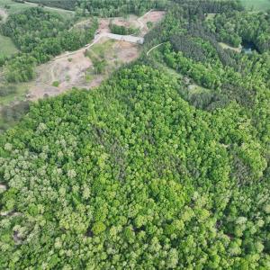 Photo #6 of Windchester, Blanch, NC 33.7 acres