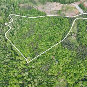 Photo #3 of Windchester, Blanch, NC 33.7 acres