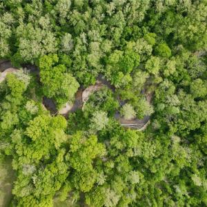 Photo #8 of Windchester, Blanch, NC 33.7 acres