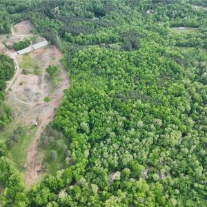 Photo #7 of Windchester, Blanch, NC 33.7 acres