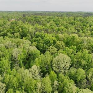 Photo #9 of Windchester, Blanch, NC 33.7 acres