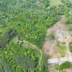 Photo #4 of Windchester, Blanch, NC 33.7 acres