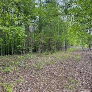 Photo #10 of Windchester, Blanch, NC 33.7 acres