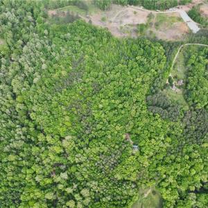 Photo #5 of Windchester, Blanch, NC 33.7 acres