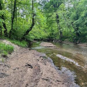 Photo #15 of Windchester, Blanch, NC 33.7 acres