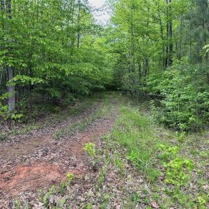 Photo #11 of Windchester, Blanch, NC 33.7 acres