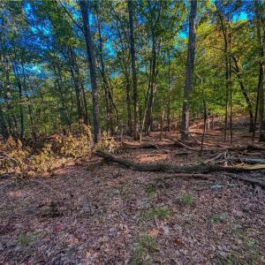 Photo #6 of 388 palisade, Denton, NC 2.7 acres
