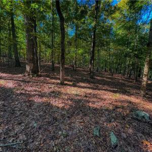 Photo #7 of 388 palisade, Denton, NC 2.7 acres