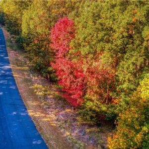 Photo #5 of 388 palisade, Denton, NC 2.7 acres