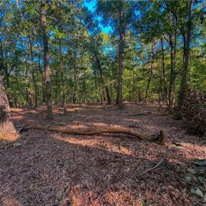 Photo #9 of 388 palisade, Denton, NC 2.7 acres