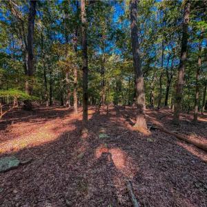 Photo #8 of 388 palisade, Denton, NC 2.7 acres