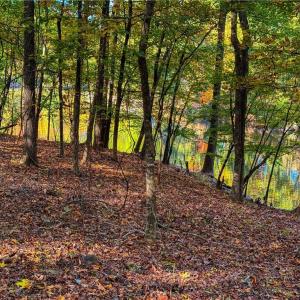 Photo #13 of 618 Rocky Cove, Denton, NC 1.0 acres