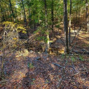 Photo #16 of 618 Rocky Cove, Denton, NC 1.0 acres