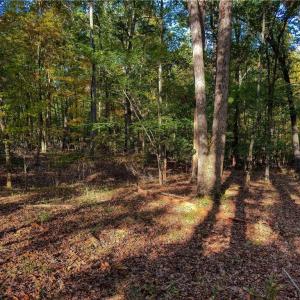 Photo #12 of 618 Rocky Cove, Denton, NC 1.0 acres