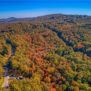 Photo #5 of 618 Rocky Cove, Denton, NC 1.0 acres