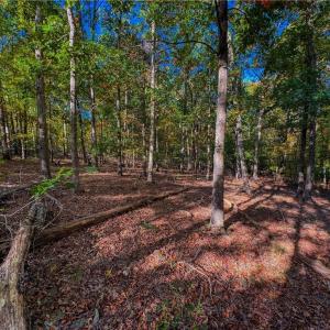 Photo #9 of 618 Rocky Cove, Denton, NC 1.0 acres