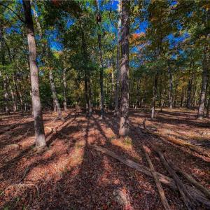 Photo #10 of 618 Rocky Cove, Denton, NC 1.0 acres