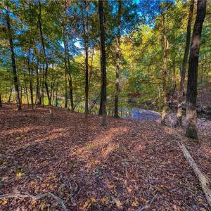 Photo #14 of 618 Rocky Cove, Denton, NC 1.0 acres