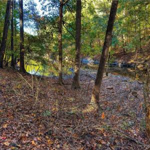Photo #15 of 618 Rocky Cove, Denton, NC 1.0 acres