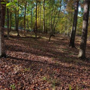 Photo #11 of 618 Rocky Cove, Denton, NC 1.0 acres