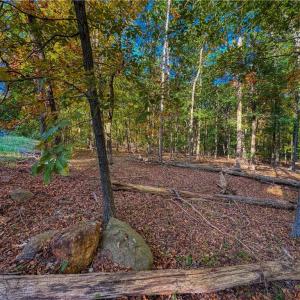 Photo #8 of 618 Rocky Cove, Denton, NC 1.0 acres