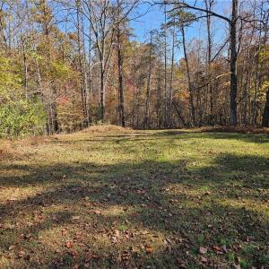 Photo #7 of Jackson, Westfield, NC 3.0 acres