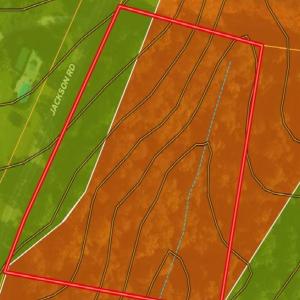 Photo #4 of Jackson, Westfield, NC 3.0 acres