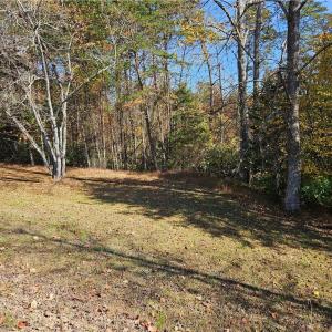 Photo #8 of Jackson, Westfield, NC 3.0 acres