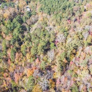Photo #18 of 5509,5505,5505zz, 5509zz, DRAKE, Greensboro, NC 20.3 acres